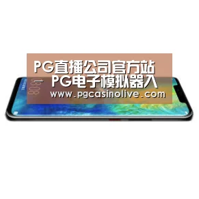 华为无线快充手机