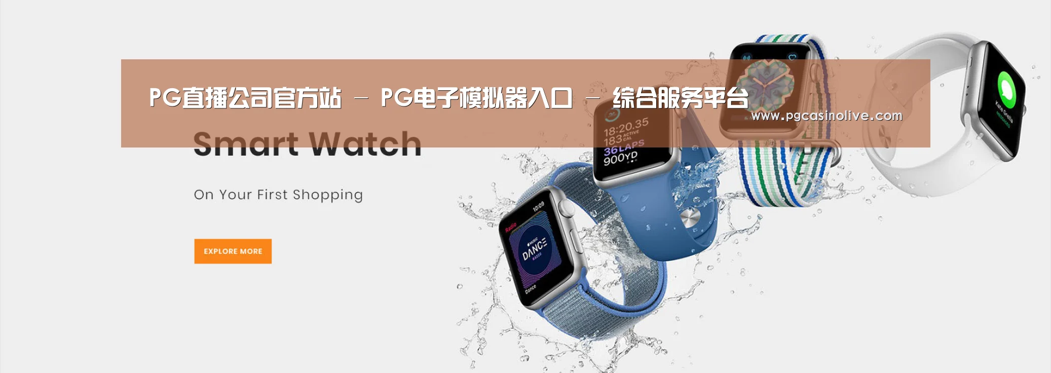 某某网络科技有限公司