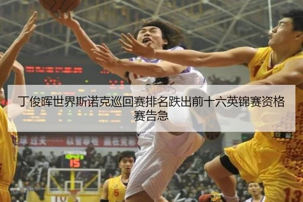 ding-jun-hui-shi-jie-si-nuo-ke-xun-hui-sai-pai-ming-die-chu-qian-shi-liu-ying-jin-sai-zi-ge-sai-gao-ji-2-437.jpg