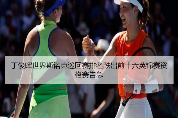 ding-jun-hui-shi-jie-si-nuo-ke-xun-hui-sai-pai-ming-die-chu-qian-shi-liu-ying-jin-sai-zi-ge-sai-gao-ji-3-102.jpg