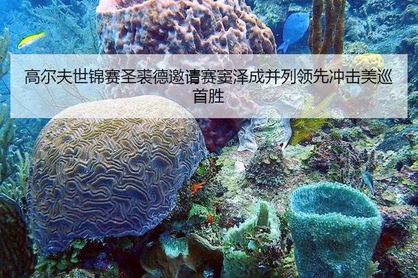 gao-er-fu-shi-jin-sai-sheng-qiu-de-yao-qing-sai-dou-ze-cheng-bing-lie-ling-xian-chong-ji-mei-xun-shou-sheng-3-644.jpg