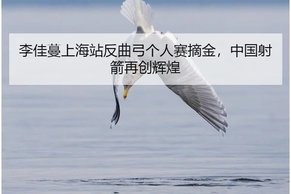李佳蔓上海站反曲弓个人赛摘金，中国射箭再创辉煌