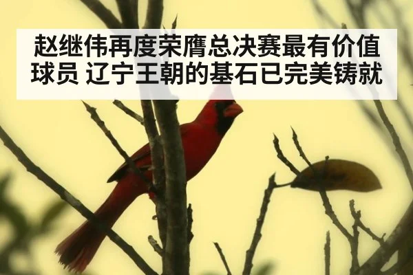赵继伟再度荣膺总决赛最有价值球员 辽宁王朝的基石已完美铸就