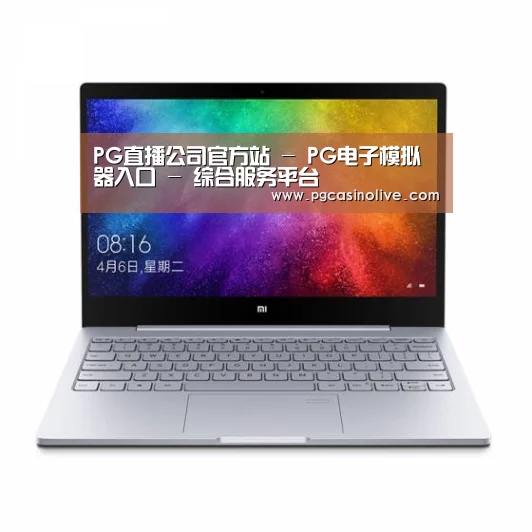小米笔记本Air 13.3(图1)